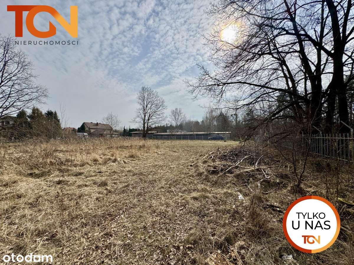 Duża działka na Teofilowie - Pełny obrazek: 3/7
