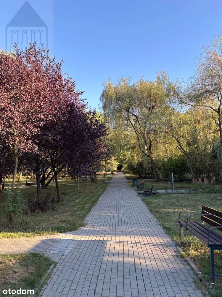 Kawalerka z ogródkiem na Sadach Żoliborskich-15