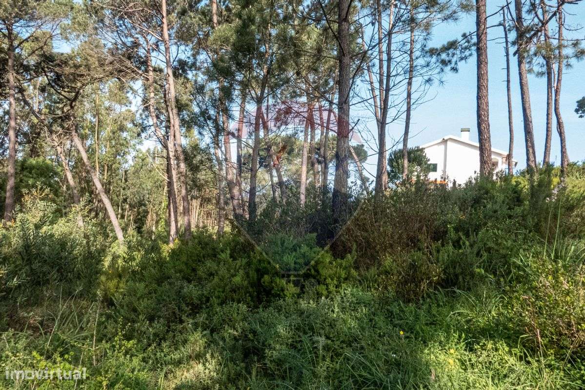 Terreno  para venda - Grande imagem: 5/13