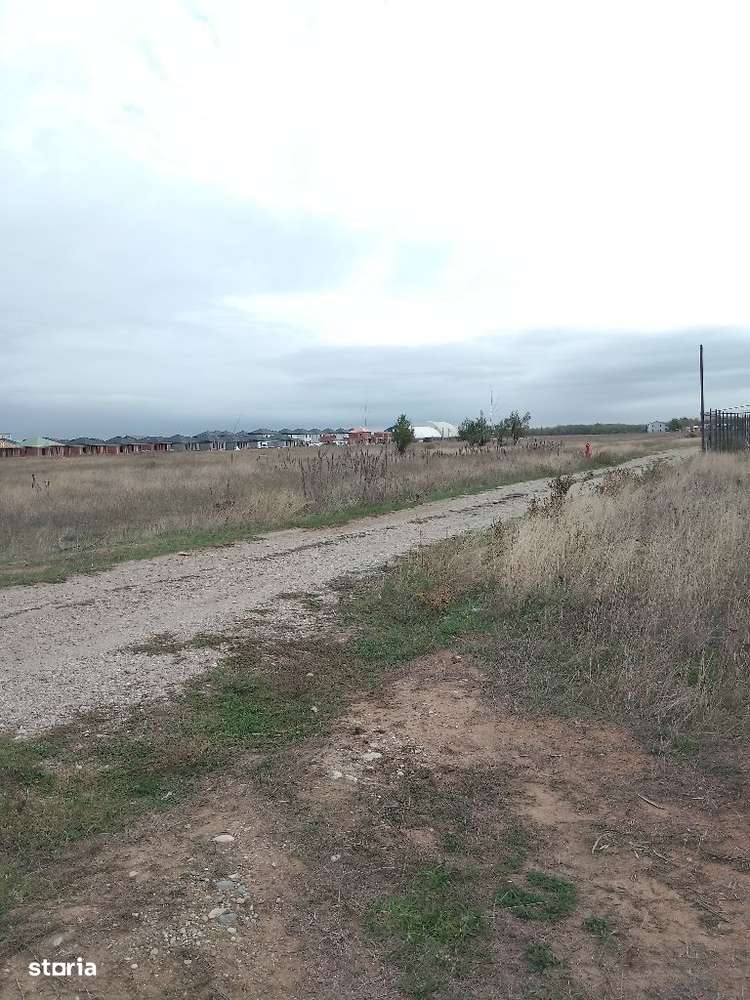 Teren Cârcea - Imagine principală: 4/7