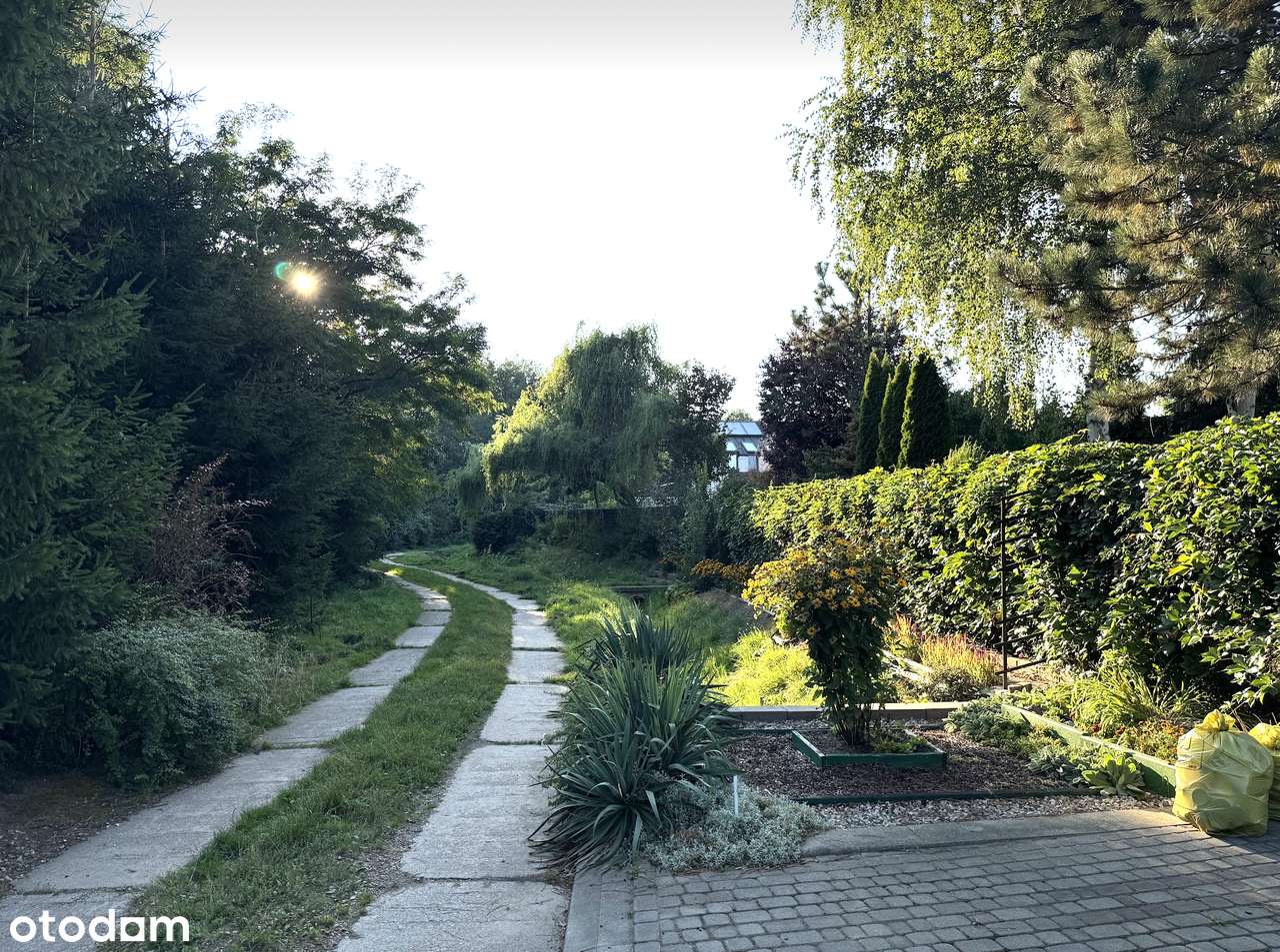 Jedyna działka budowlana przy lesie w Warszawie! WZ na dom do 200m2. - Pełny obrazek: 5/11