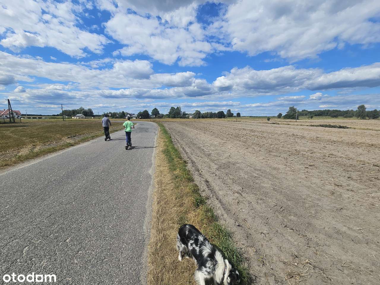 Buduj od razu! Atrakcyjne działki 1600–2500 m², Romanów/Jedlińsk - Pełny obrazek: 3/11