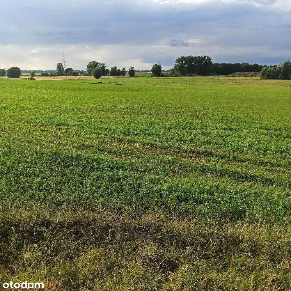 Działki usługowe Sierakowo 4000m2 - 8000m2-7