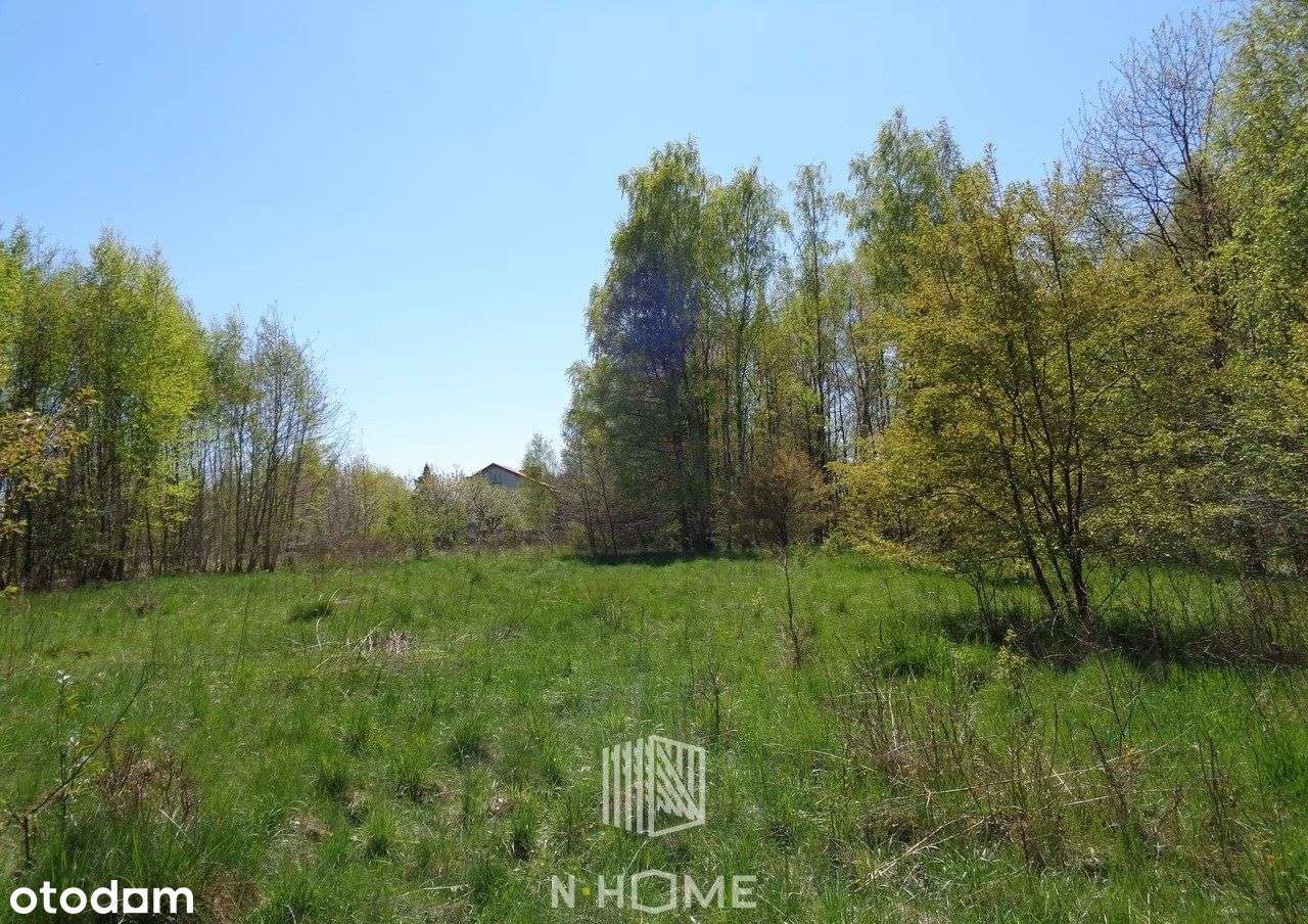 Działka w doskonałej lokalizacji/ 5032m2 - Pełny obrazek: 4/9