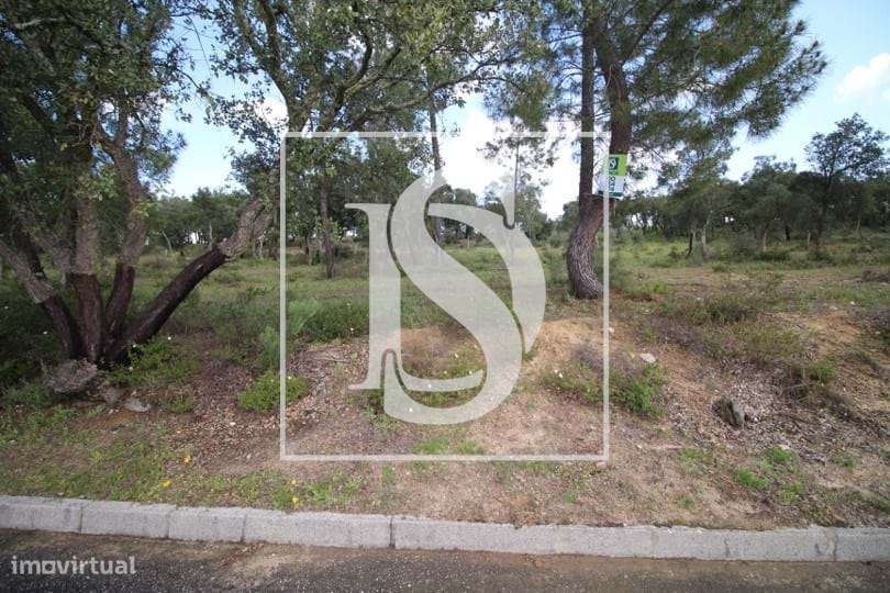 Terreno com projeto aprovado em Carregueira - Grande imagem: 5/5