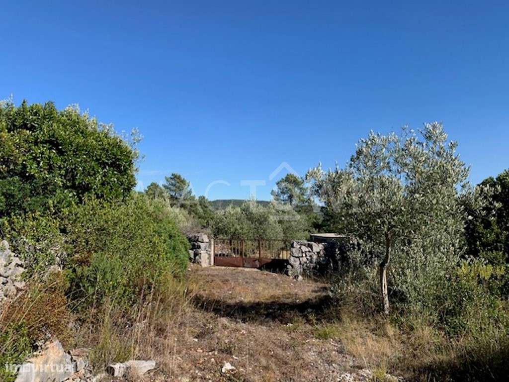 Construção de Moradia na Natureza - Grande imagem: 4/37