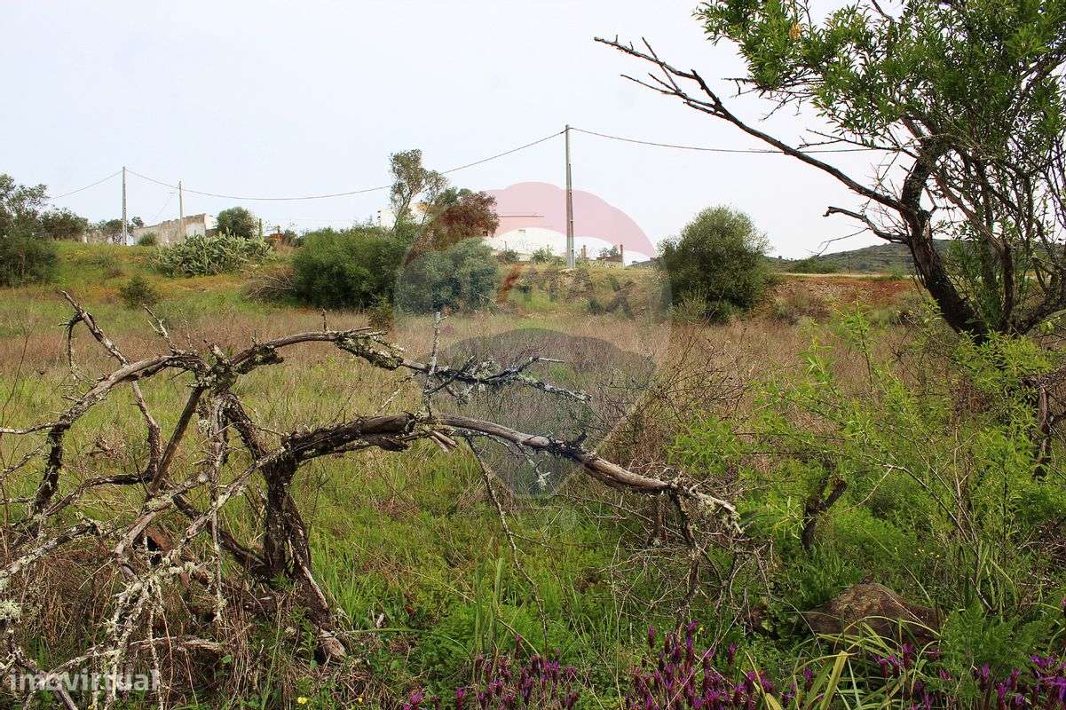 Terreno  para venda - Grande imagem: 2/10