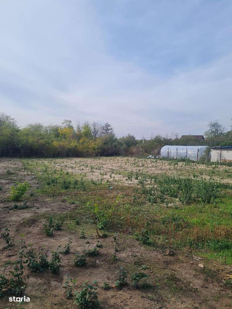 Teren   intravilan   1195  mp  Albota  Morlovani - Imagine principală: 4/10