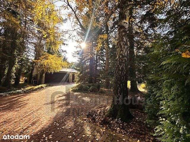 Dom w starodrzewiu pod Lublinem-1