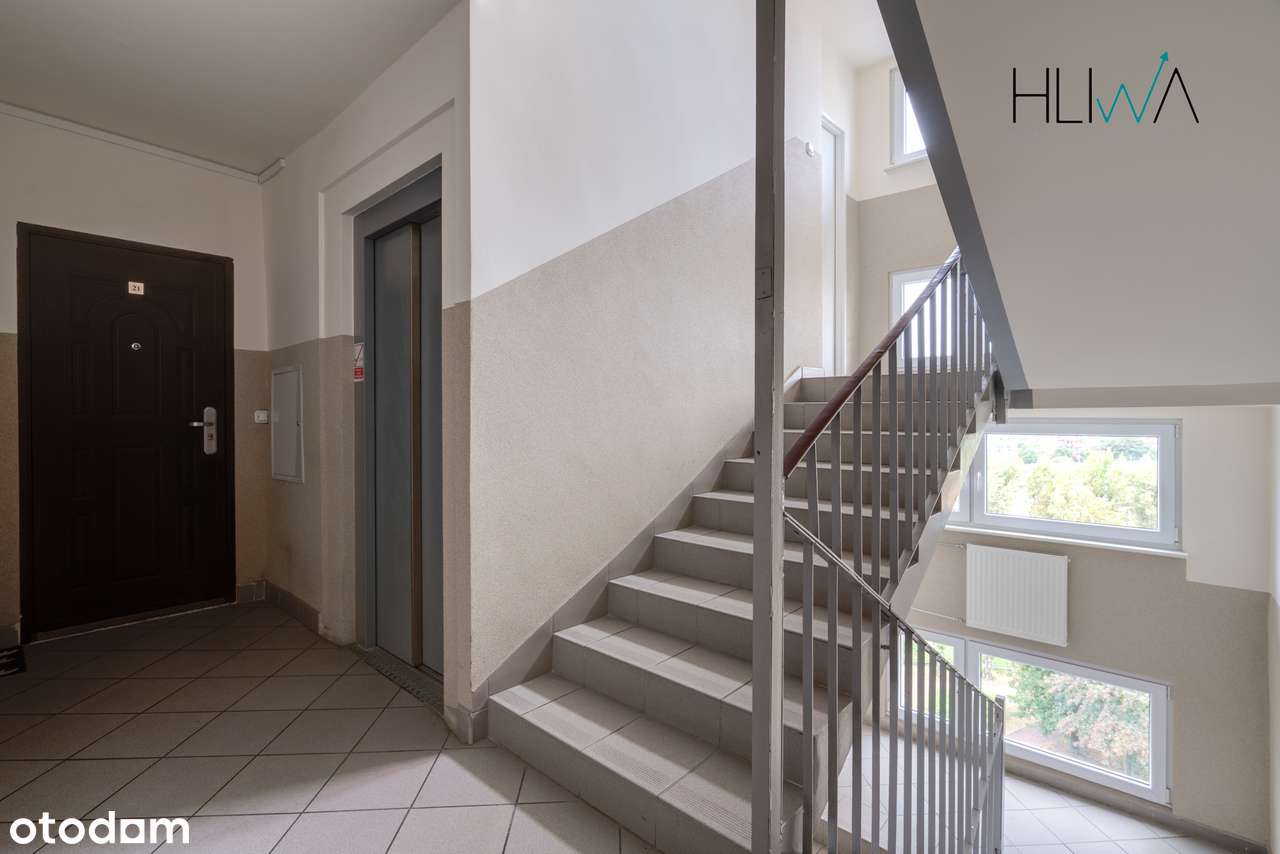 Mieszkanie 2pokoje, 48.2m2 z komórką lokatorską oraz piwnicą! Zaspa-17