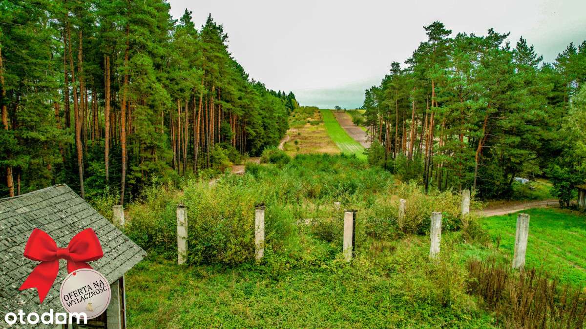 5 ha z domem na Roztoczu - Pełny obrazek: 4/13