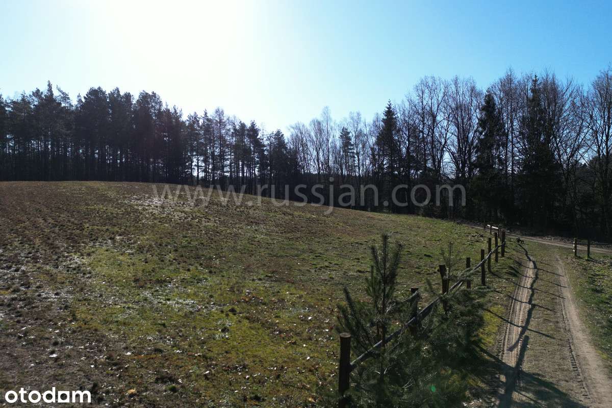 Leśna Polana z Wz. - Pełny obrazek: 4/5