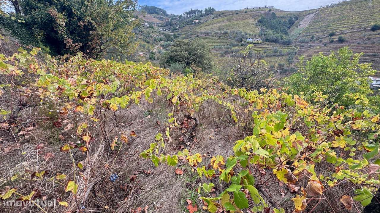 Quinta em Sedielos, Peso da Régua-8