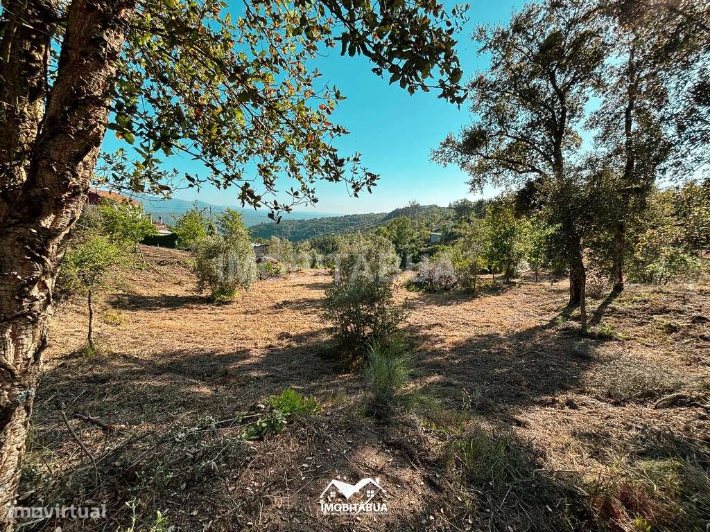 Terreno rústico de 8000 m2 com viabilidade de construção a cerca de...-6