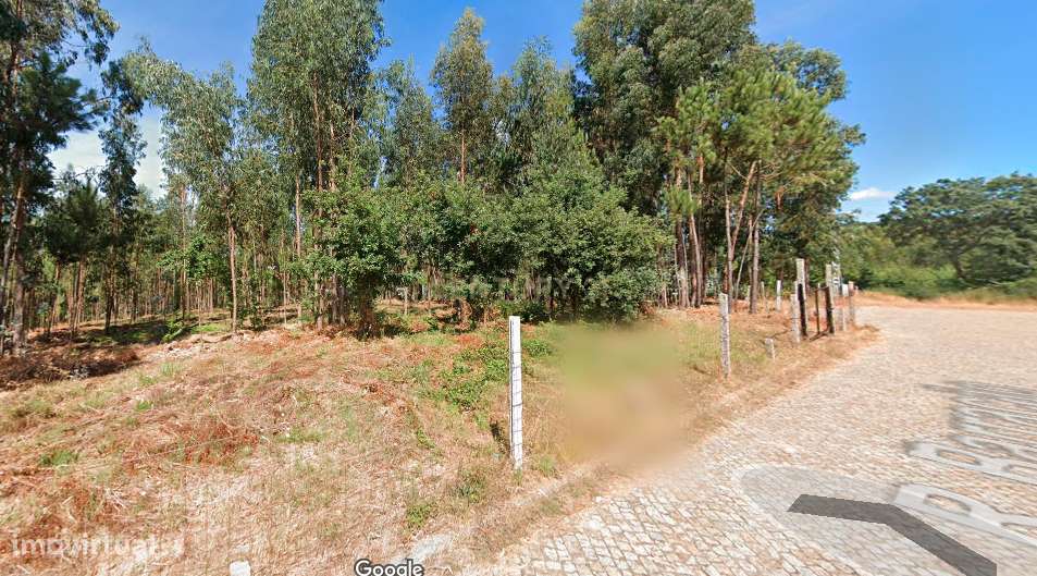 Terreno 14.275m2 - Vila Maior - Grande imagem: 3/6