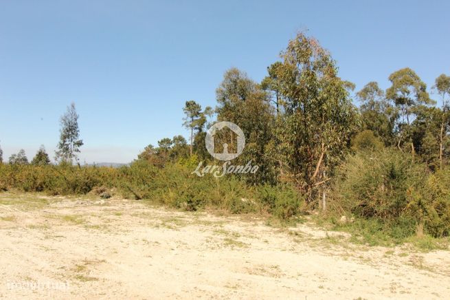 Terreno para loteamento Silvares S. Martinho Fafe-7