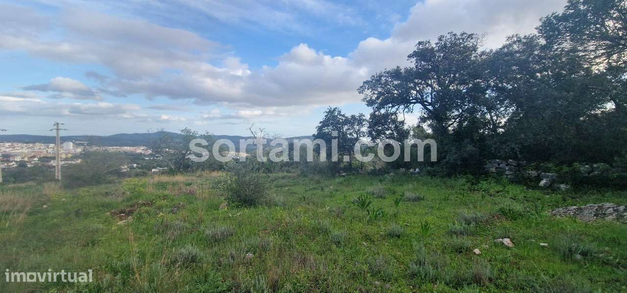 Terreno Rústico  Venda em São Brás de Alportel,São Brás de Alportel - Grande imagem: 5/13
