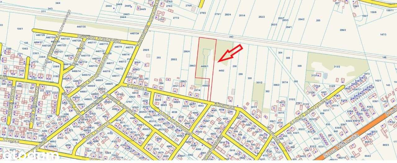 Sprzedam działkę Września 6022m2 - Pełny obrazek: 3/3