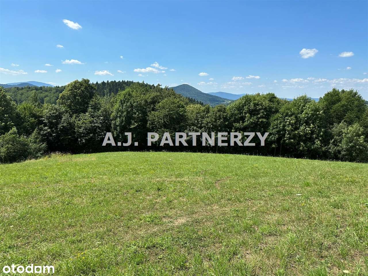 Działka w otoczeniu lasu z widokiem na góry-0