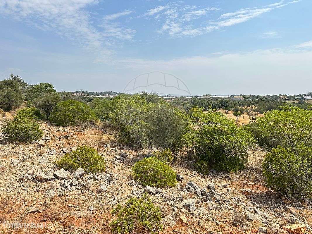 Terreno  para venda - Grande imagem: 4/10