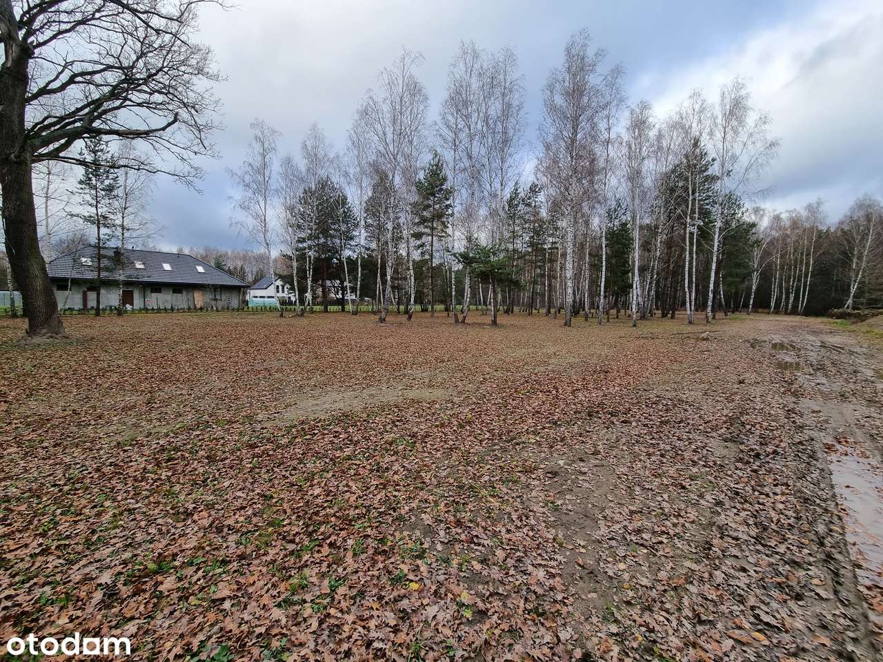 Zadrzewione działki budowlane z MPZP - zabudowa mieszkaniowa-5