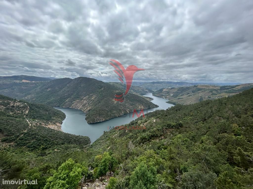 CASA EM BANDA - DOURO VINHATEIRO