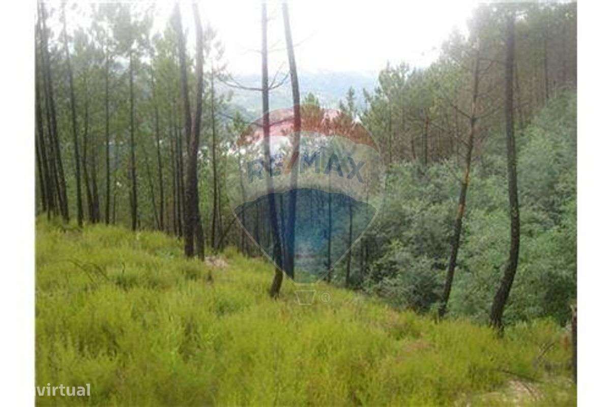 Terreno T0 para venda - Grande imagem: 5/21