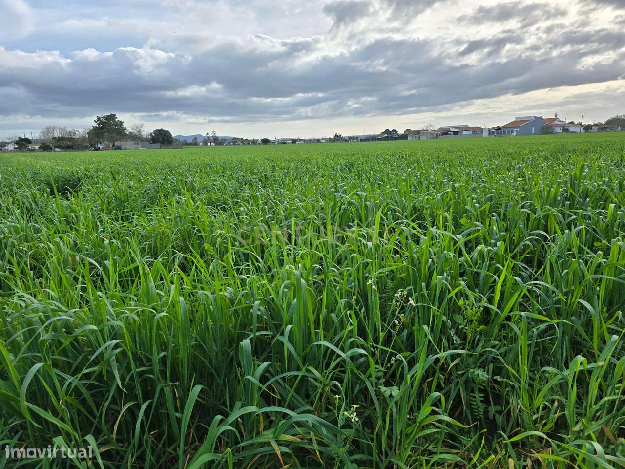 Terreno Rústico na Moita - Grande imagem: 2/5