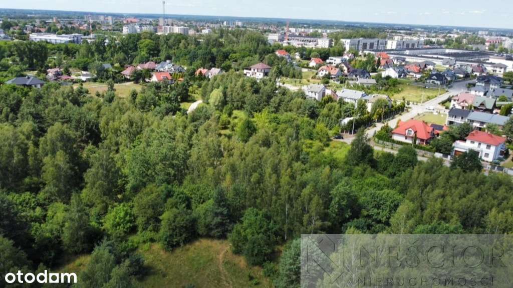 441/7364/OGS - Pełny obrazek: 5/11