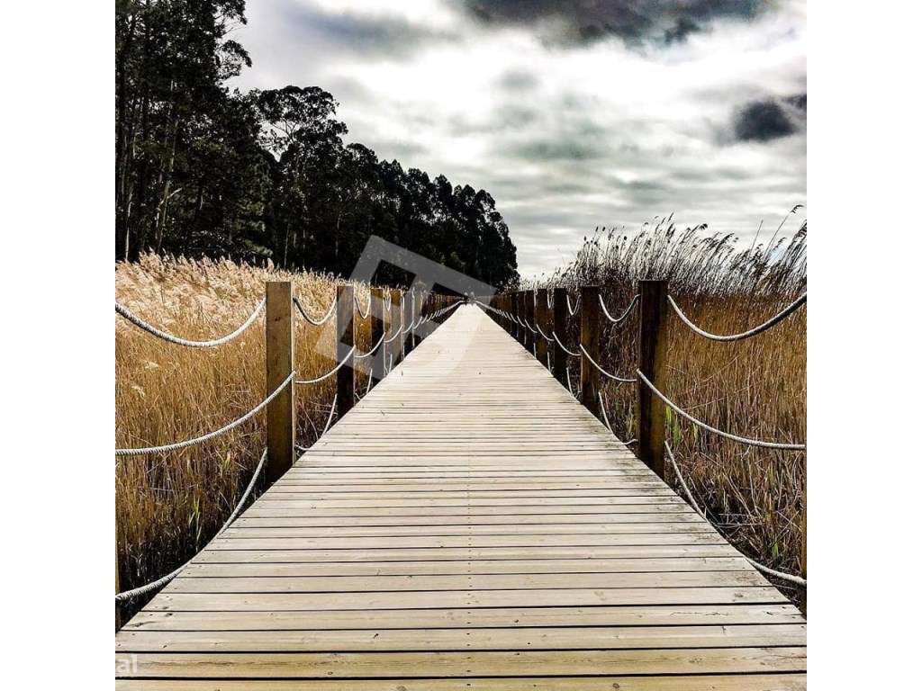 Apartamento T3 Implex c/ Terraços - Centro de S. Bernardo-19