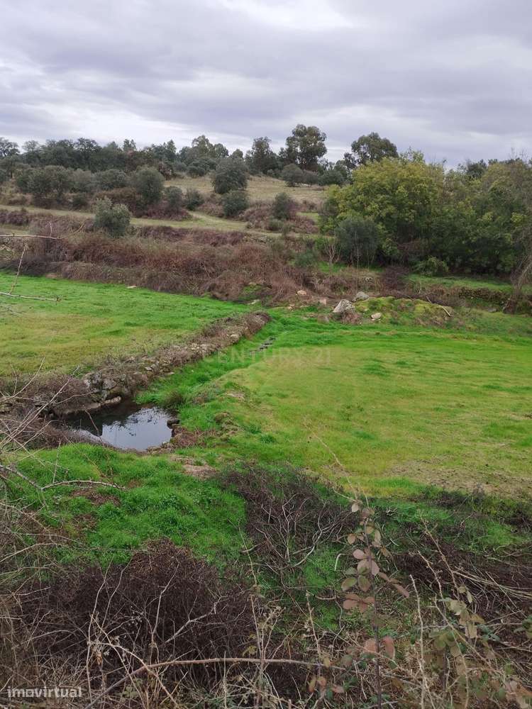 Terreno Rustico com Ruína e Ribeiro – Martianas, Fundão – Proximidade-5