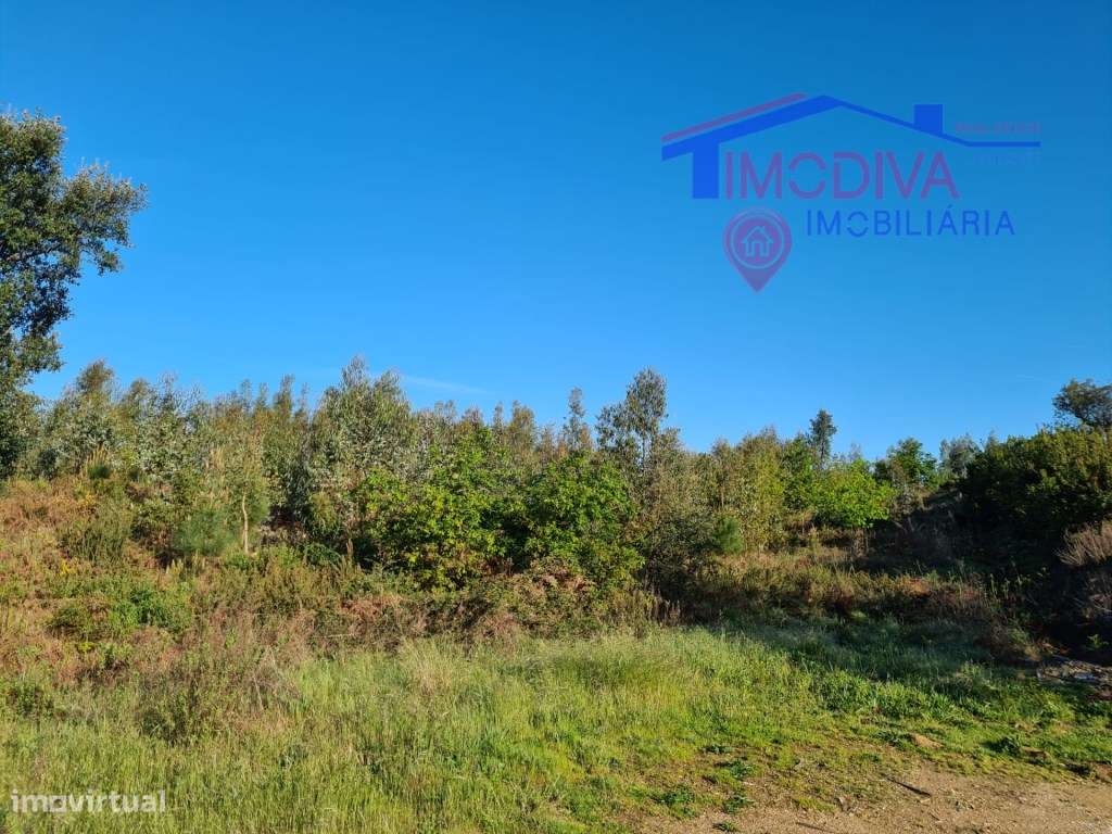 Terreno rústico com 6900m2 - Grande imagem: 4/5