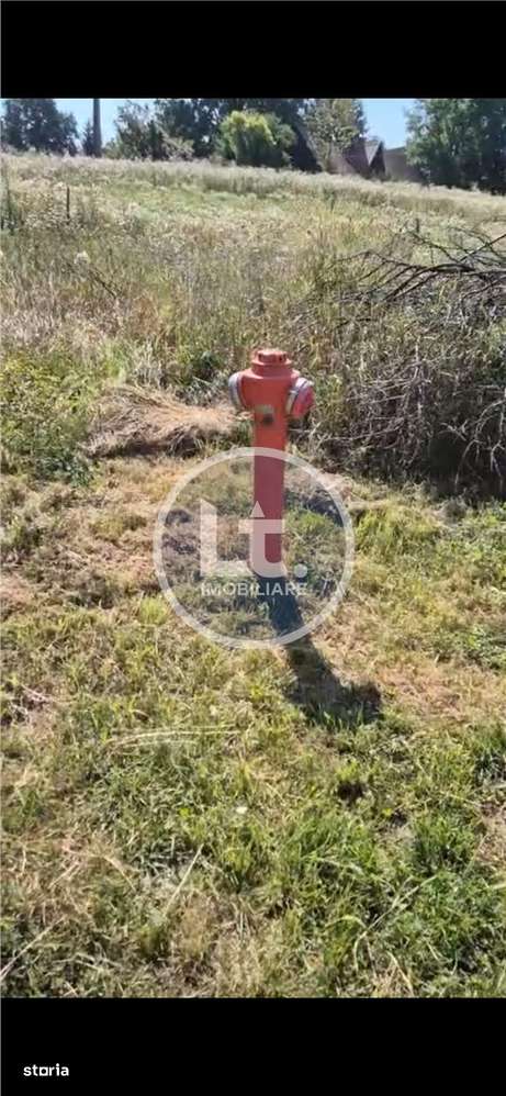 Teren DE VANZARE Dumbravioara, Intravilan - Imagine principală: 3/5