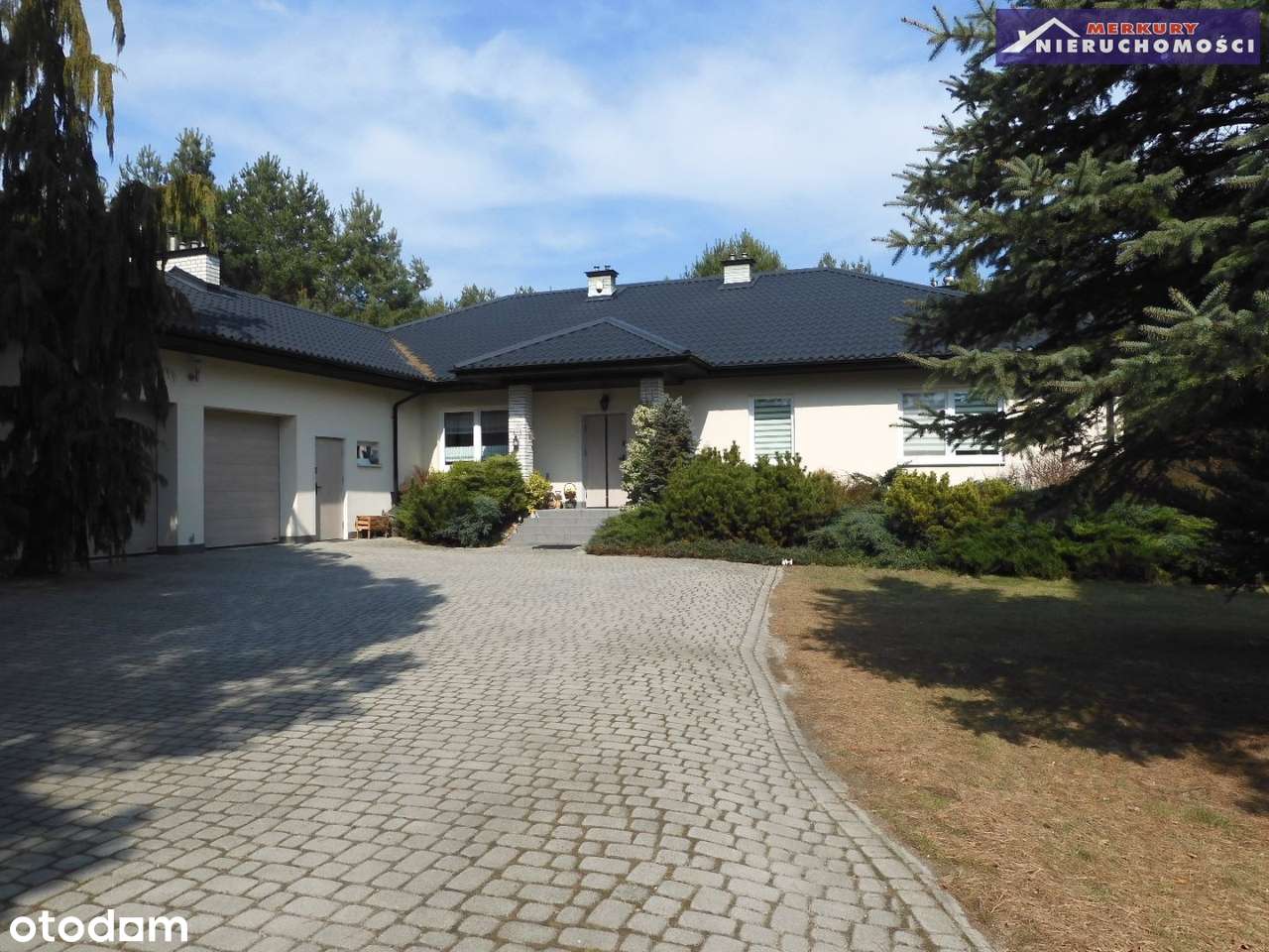 Na obrzeżach miasta. - Pełny obrazek: 2/11