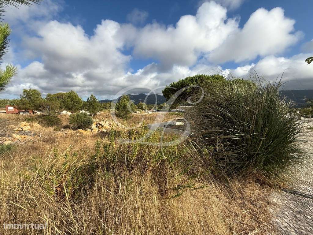 Lote de Terreno p/construção com 455 m2 | Sintra - Grande imagem: 4/13