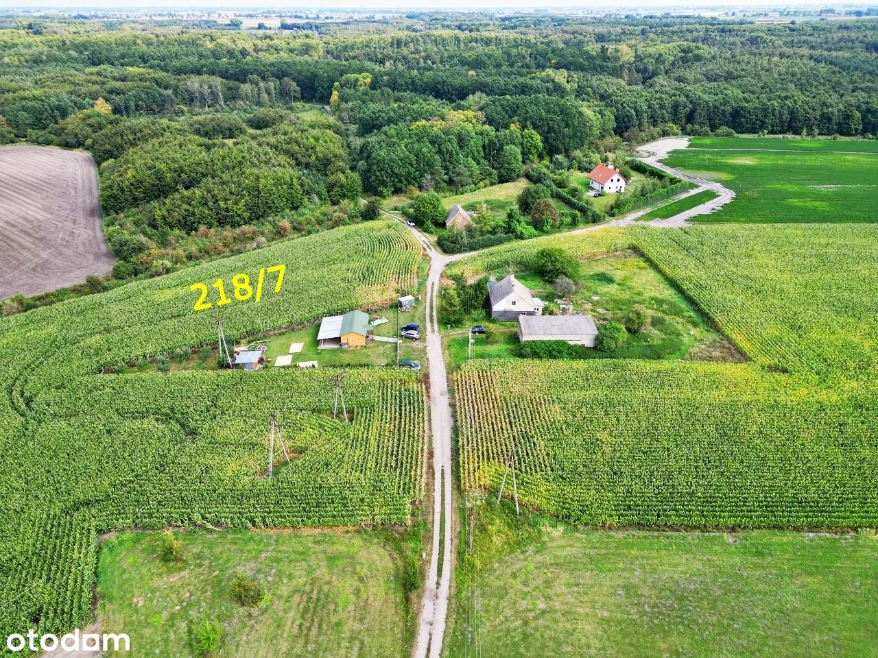 Duża działka budowlana przy lesie z WZ! Słońsko-6