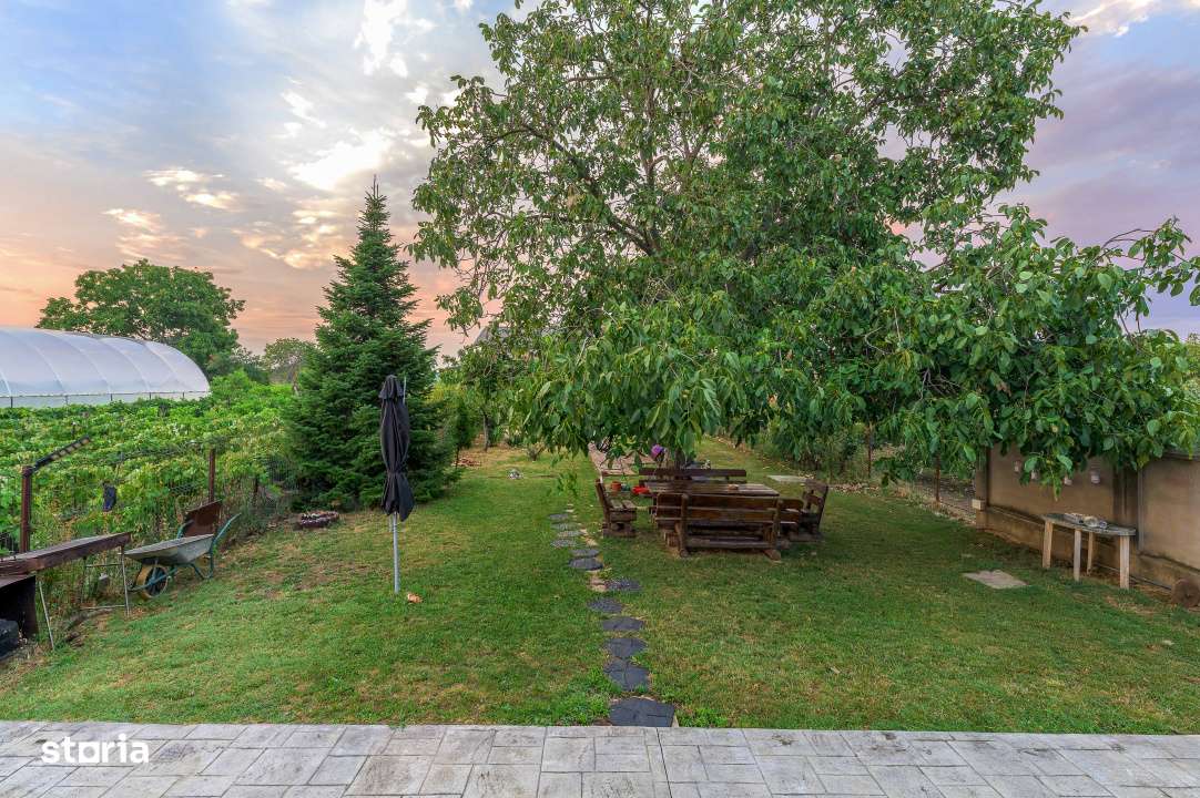 De vanzare vila Cornetu, pentru gospodarul din tine. - Imagine principală: 5/19