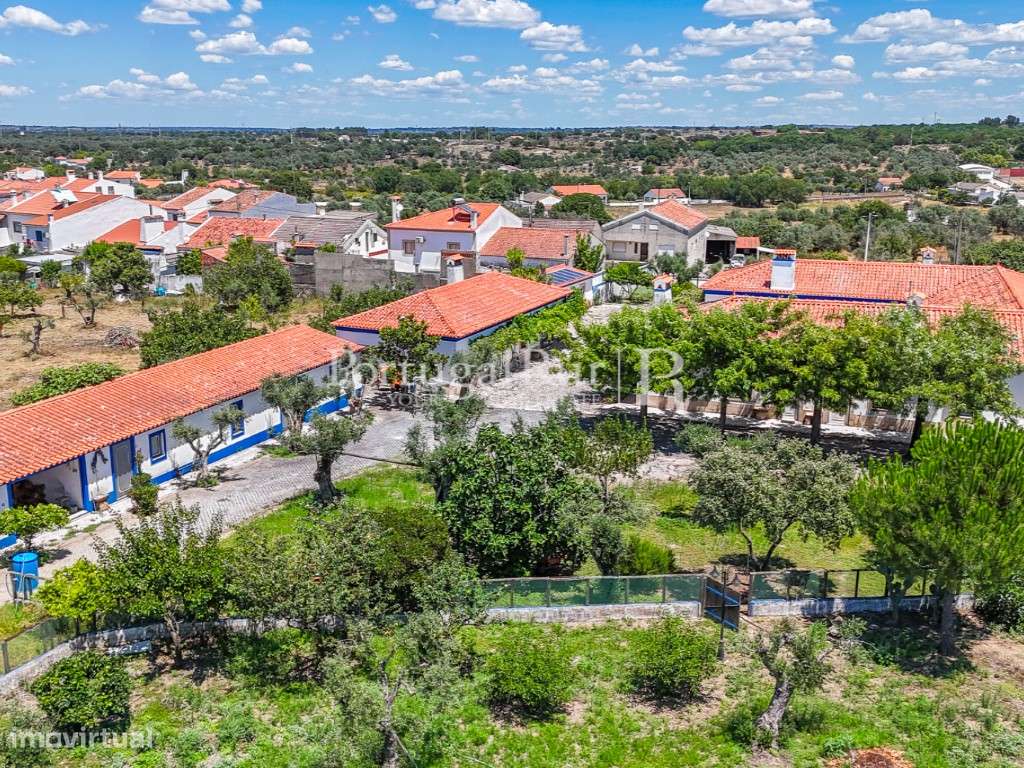 Quinta de 5.000m2 com moradia T6 - AL - Grande imagem: 4/60