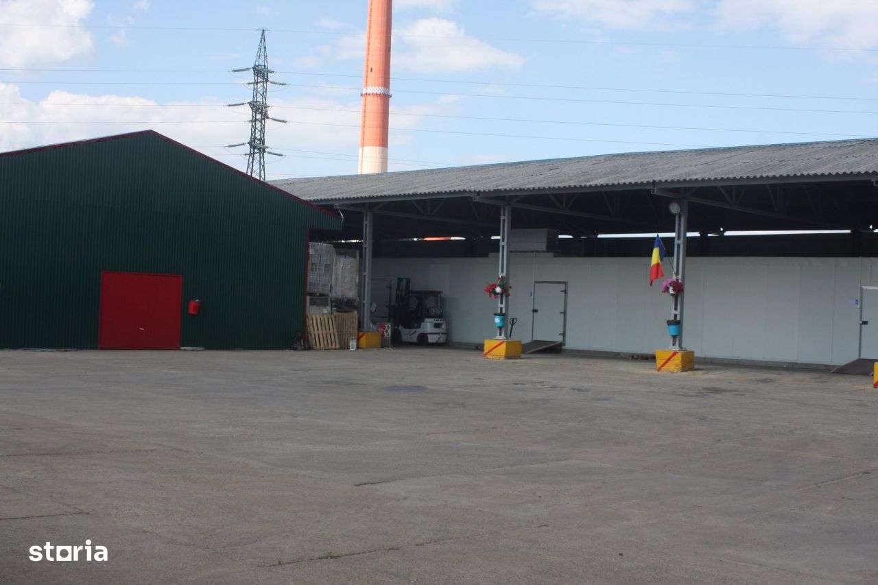 Depozite frigorifice congelate sau refrigertate - Imagine principală: 3/4