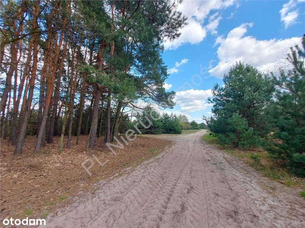 Urocza Działka Z Linią Brzegową