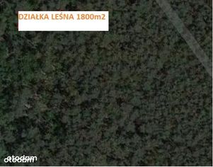Działka leśna 1800m2 BIAŁOŁĘKA rejon Insurekcji