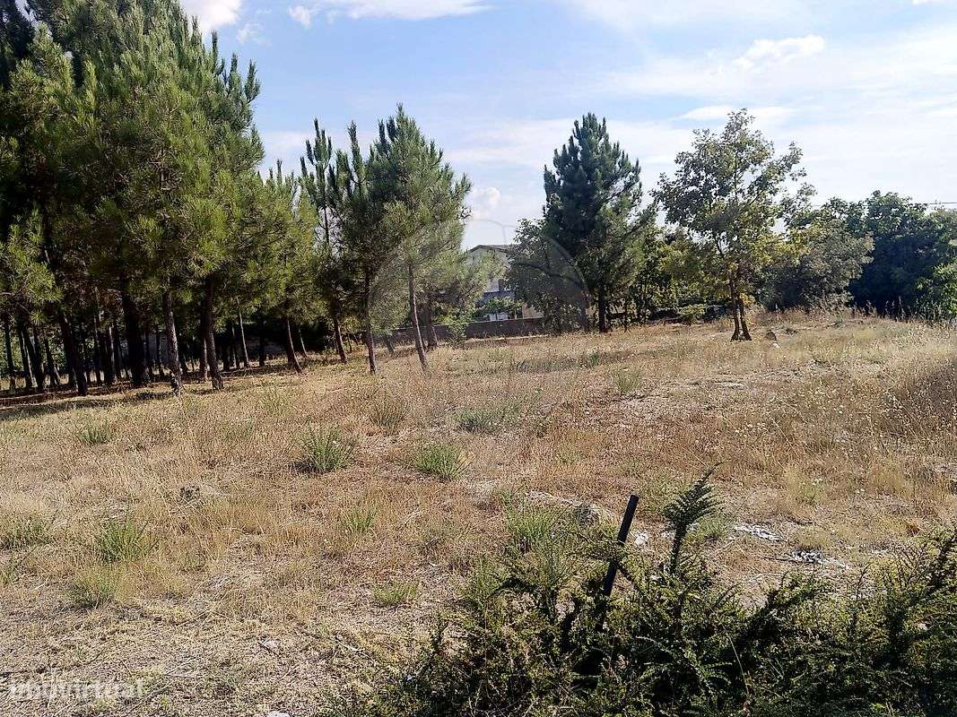 Terreno  para venda - Grande imagem: 4/4