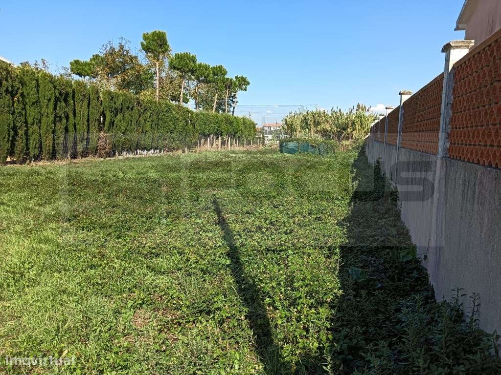 Terreno com 14m de frente Vista Alegre - Ílhavo - Grande imagem: 4/16