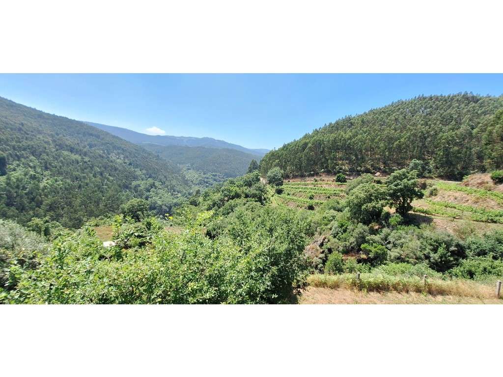 NEGOCIÁVEL Quintinha com casa em pedra perto passadiço do paiva - Grande imagem: 5/14