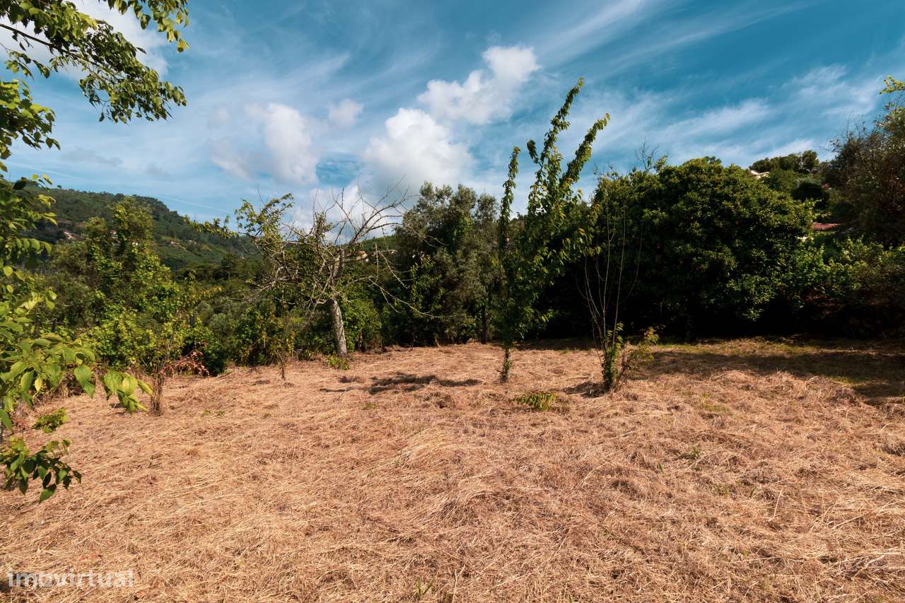 TERRENO P/ CONSTRUÇÃO COM VISTA PARA O RIO DOURO-5