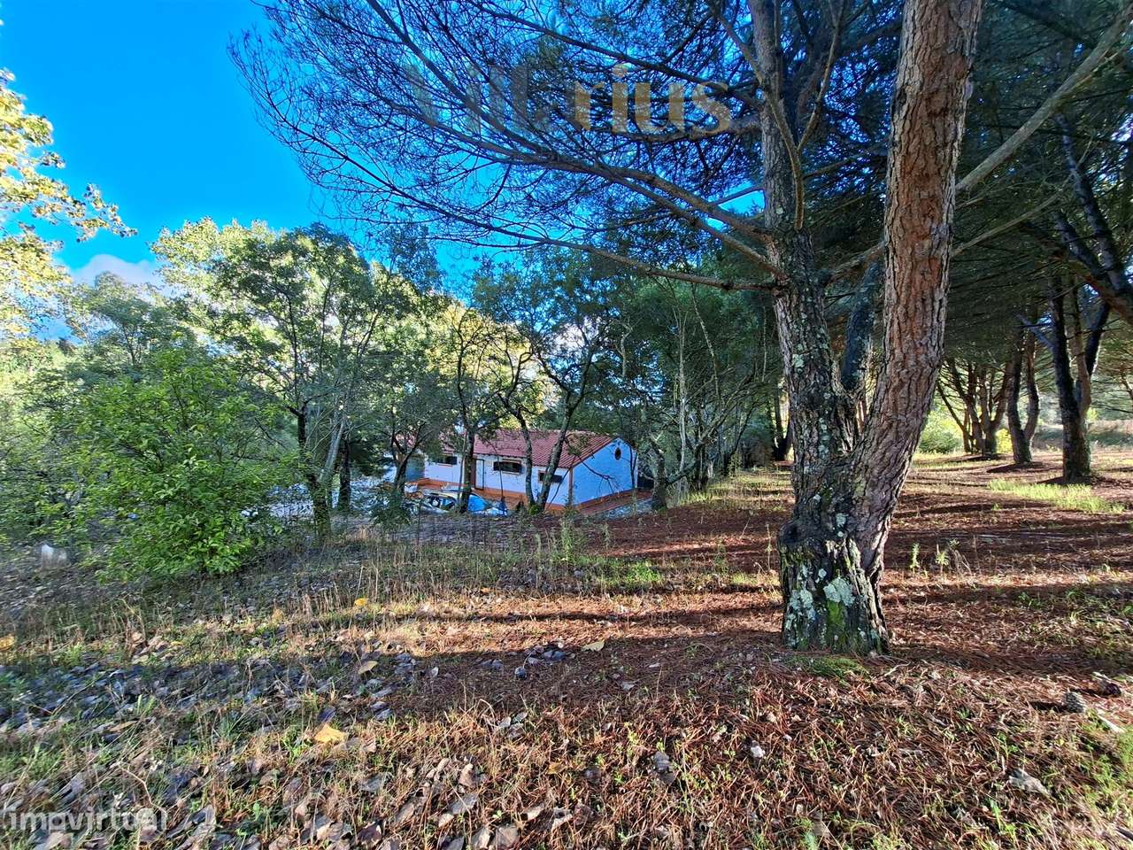 Moradia Térrea com Terreno Extenso a 3 min de Alverangel-31