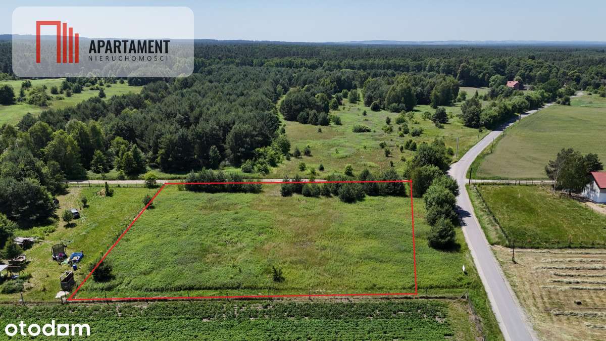 Działka w leśnym otoczeniu w Złotowie gm. Zawonia - Pełny obrazek: 4/10