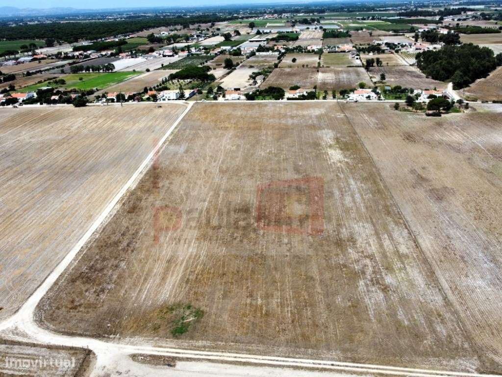 TERRENO 3.7HA - SANTO ISIDRO DE PEGÕES - Grande imagem: 3/3