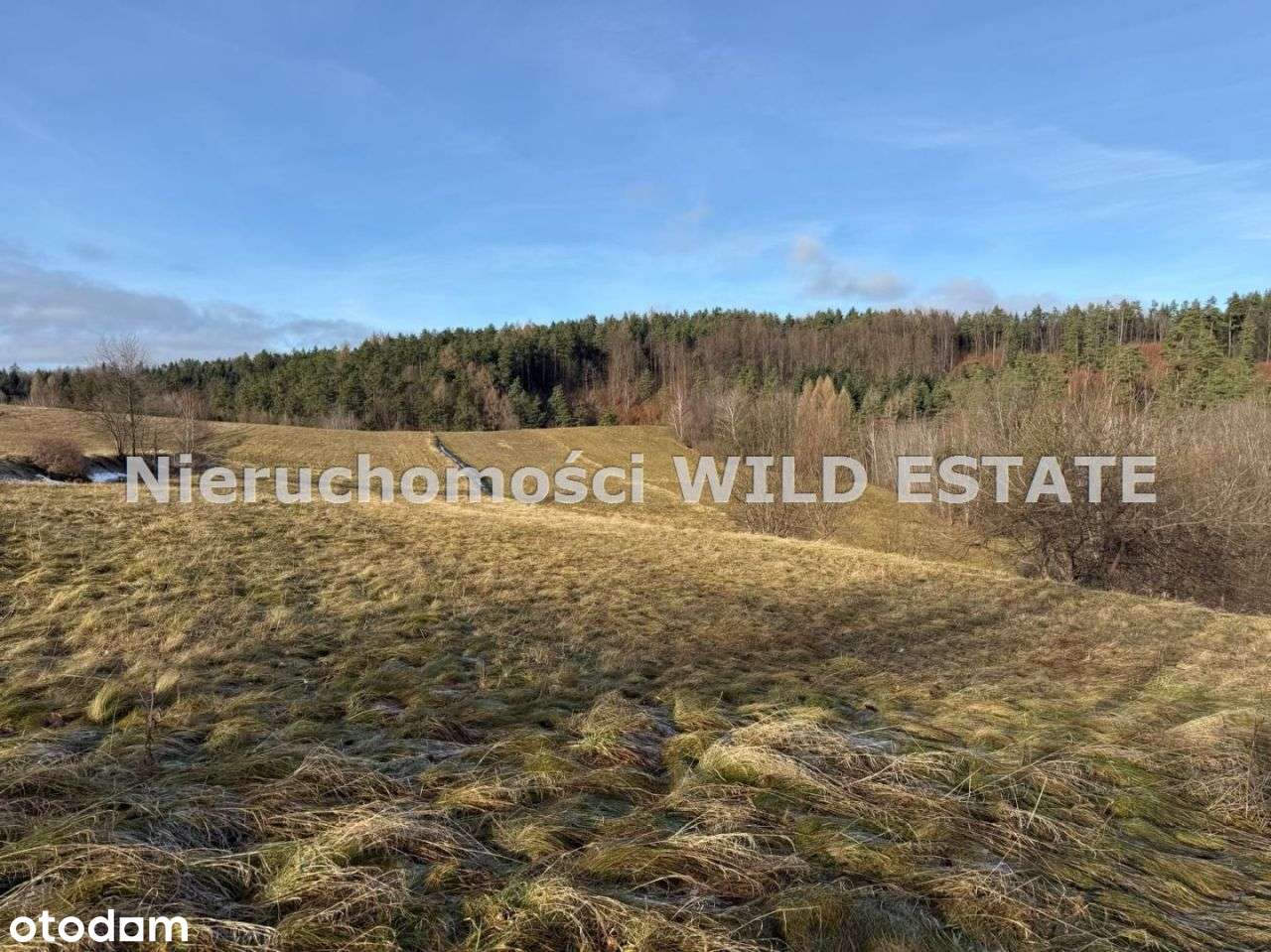 Działka, 3 402 m², Berezka-1