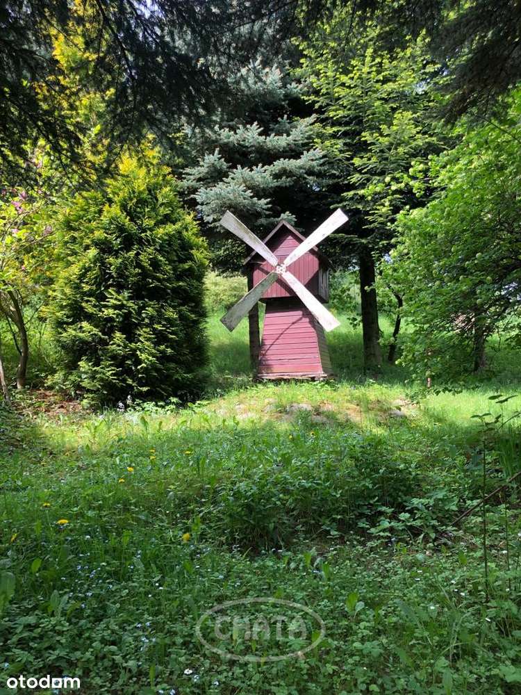 Działka/Zagórze Śląskie/okolice - Pełny obrazek: 5/9